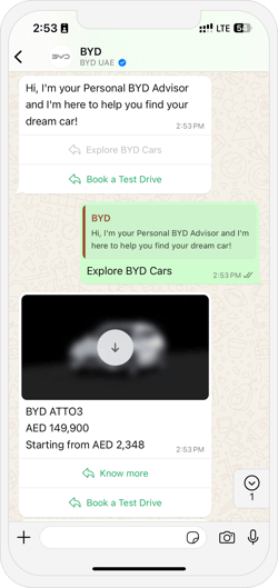 BYD Screen WA